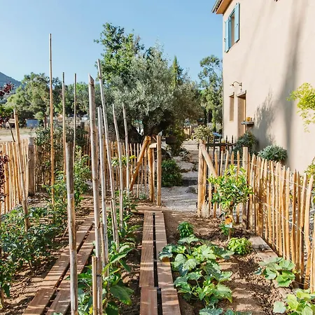 Cozy Near The In Corsica *