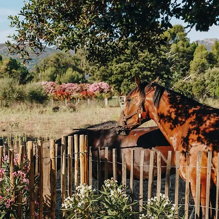 度假居 Cozy Near The In Corsica *