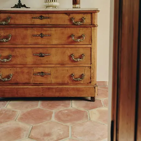 Semesterbostad Cozy Near The In Corsica Pigna