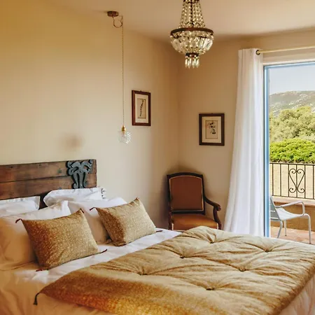 Semesterbostad Cozy Near The In Corsica Pigna