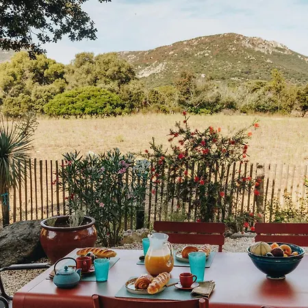 Cozy Near The In Corsica 펜션 *