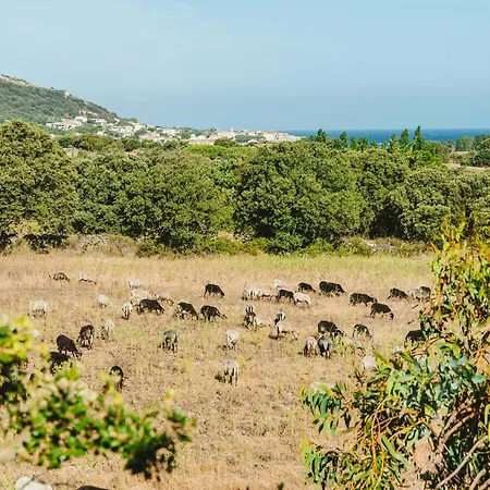 Cozy Near The In Corsica 펜션 *
