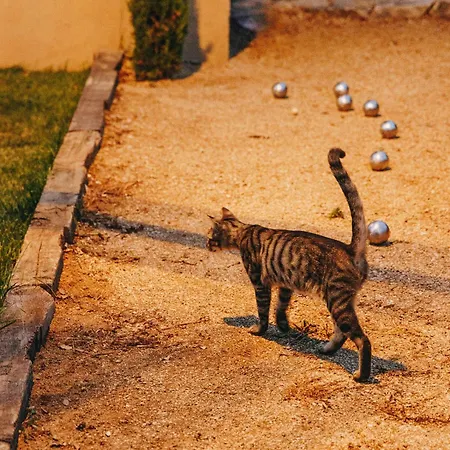Cozy Near The In Corsica *