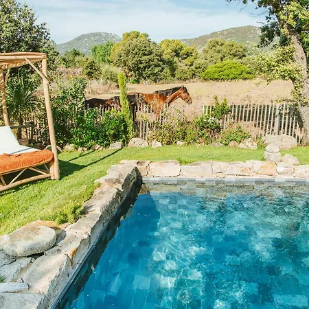 Cozy Near The In Corsica * Pigna