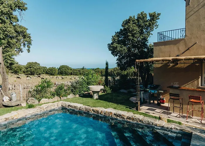 Cozy Near The In Corsica * Pigna