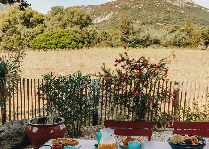 Cozy Near The In Corsica Casa de Férias *