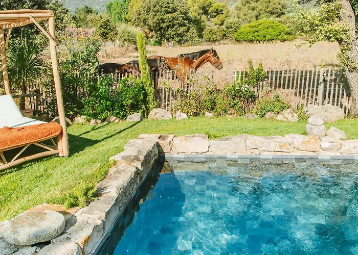 Cozy Near The In Corsica * Pigna